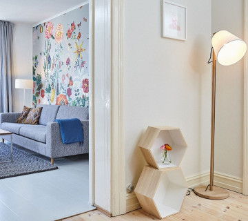 Genel Halı Temizliği